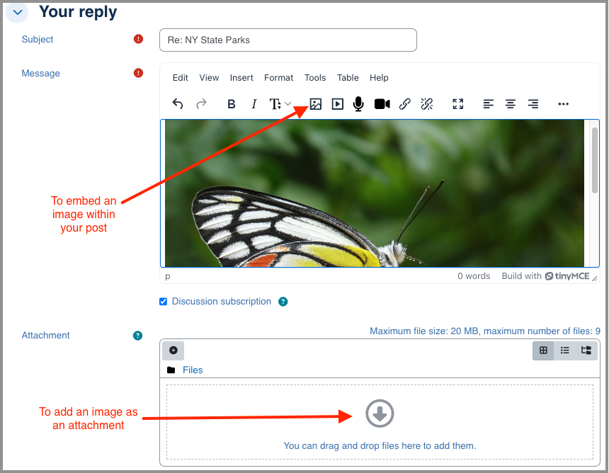 Screenshot of a forum response box. A red arrow points to the image icon in the text editor. A red arrow also points to the drop file box. 